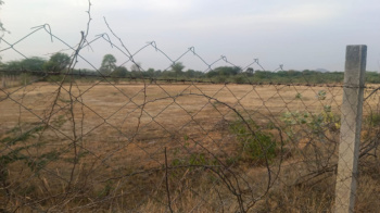 18 Bigha Agricultural/Farm Land for Sale in Chandesara, Udaipur