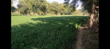 Property for sale in Dabok, Udaipur