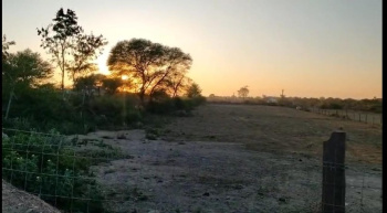 Property for sale in Vallabhnagar, Udaipur