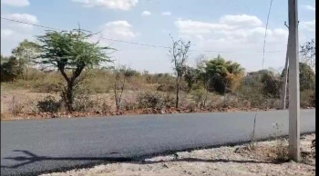 9 Bigha Agricultural/Farm Land for Sale in Mavli, Udaipur