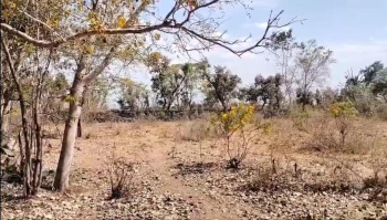 15 Bigha Agricultural/Farm Land for Sale in Mavli, Udaipur