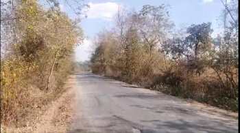 Agricultural/Farm Land for Sale in Mavli, Udaipur (38 Bigha)