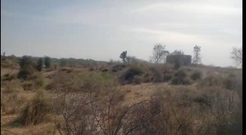 Agricultural/Farm Land for Sale in Kurabad, Udaipur (18 Bigha)