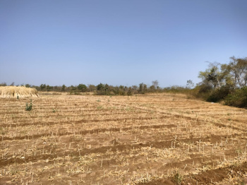 30 Bigha Agricultural/Farm Land for Sale in Mavli, Udaipur