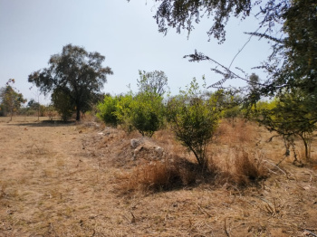 34 Bigha Agricultural/Farm Land for Sale in Girwa, Udaipur
