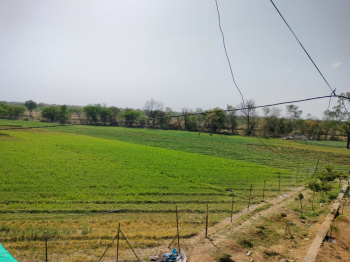 45 Bigha Agricultural/Farm Land for Sale in Girwa, Udaipur