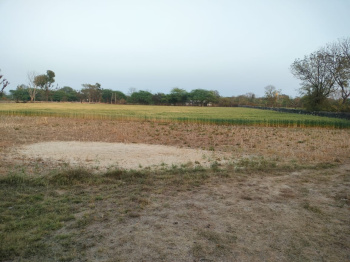 5.75 Bigha Agricultural/Farm Land for Sale in Vallabhnagar, Udaipur
