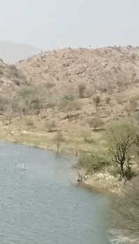 Property for sale in Nathdwara, Rajsamand