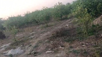 14 Bigha Agricultural/Farm Land for Sale in Mavli, Udaipur