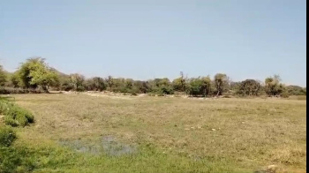 Agricultural/Farm Land for Sale in Dabok, Udaipur (35 Bigha)