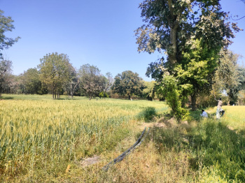 Agricultural/Farm Land for Sale in Nathdwara, Rajsamand (7 Bigha)