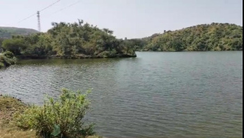 7 Bigha Agricultural/Farm Land for Sale in Girwa, Udaipur