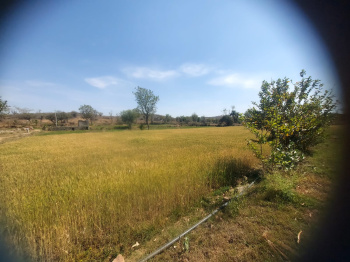 Agricultural/Farm Land for Sale in Nathdwara Road, Udaipur (34 Bigha)