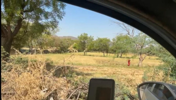 6.75 Bigha Agricultural/Farm Land for Sale in Girwa, Udaipur