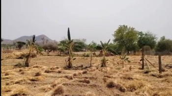 4 Bigha Agricultural/Farm Land for Sale in Girwa, Udaipur