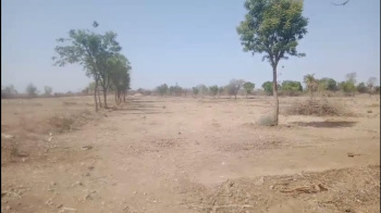 Agricultural/Farm Land for Sale in Mavli, Udaipur (23 Bigha)