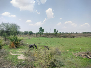 Agricultural/Farm Land for Sale in Nathdwara, Rajsamand (11 Bigha)