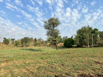 Agricultural/Farm Land for Sale in Kurabad, Udaipur (38 Bigha)