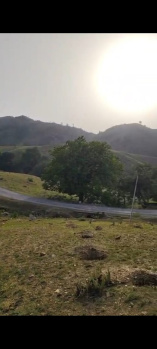 Agricultural/Farm Land for Sale in Iswal, Udaipur (16 Bigha)