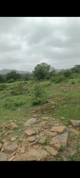 Agricultural/Farm Land for Sale in Udaipur (35 Bigha)