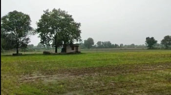 Agricultural/Farm Land for Sale in Mavli, Udaipur (50 Bigha)