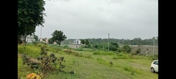 Agricultural/Farm Land for Sale in Rishabhdev, Udaipur (25 Bigha)