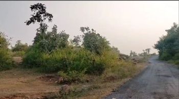 Agricultural/Farm Land for Sale in Bhinder, Udaipur (100 Bigha)