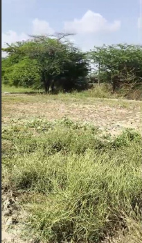 6 Bigha Agricultural/Farm Land for Sale in Badgaon, Udaipur