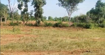 Agricultural/Farm Land for Sale in Sakroda, Udaipur (2 Bigha)
