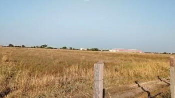 Agricultural/Farm Land for Sale in Bhatewar, Udaipur (26 Bigha)