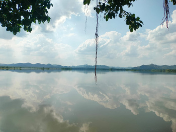 50 Bigha Agricultural/Farm Land for Sale in Girwa, Udaipur