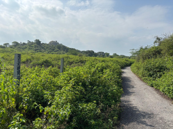 Agricultural/Farm Land for Sale in Nathdwara Road, Udaipur (100 Bigha)