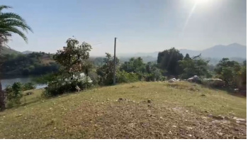 Agricultural/Farm Land for Sale in Udaipur (13 Bigha)