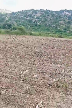 Agricultural/Farm Land for Sale in Salumbar, Udaipur (65 Bigha)