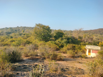Agricultural/Farm Land for Sale in Chirva Ghata, Udaipur (7000000 Bigha)