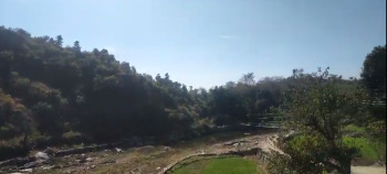 Agricultural/Farm Land for Sale in Nathdwara Road, Udaipur (28 Bigha)