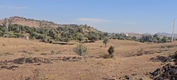 Agricultural/Farm Land for Sale in Rishabhdev, Udaipur (50 Bigha)