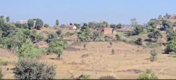 Agricultural/Farm Land for Sale in Kodiyat, Udaipur (14 Bigha)