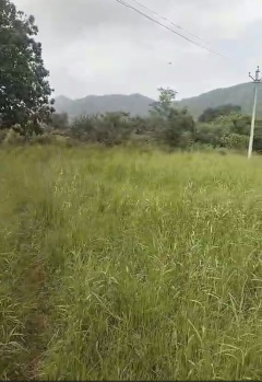 Agricultural/Farm Land for Sale in Gogunda, Udaipur (52 Bigha)