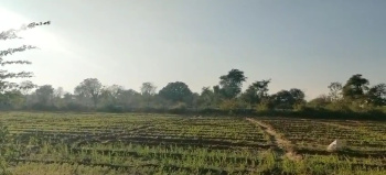 Agricultural/Farm Land for Sale in Mavli, Udaipur (36 Bigha)