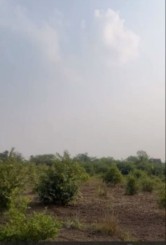 Agricultural/Farm Land for Sale in Mangalwad, Udaipur (27 Bigha)