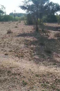 Agricultural/Farm Land for Sale in Nathdwara Road, Udaipur (23 Bigha)