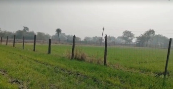 Agricultural/Farm Land for Sale in Bhatewar, Udaipur (7 Bigha)