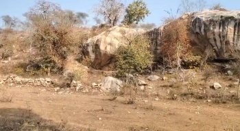 Agricultural/Farm Land for Sale in Kurabad, Udaipur (16 Bigha)