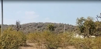 Agricultural/Farm Land for Sale in Nathdwara Road, Udaipur (107 Bigha)