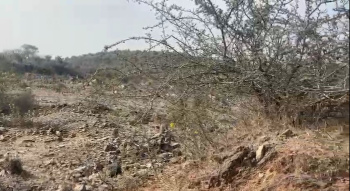 58000 Sq.ft. Industrial Land / Plot for Sale in Girwa, Udaipur