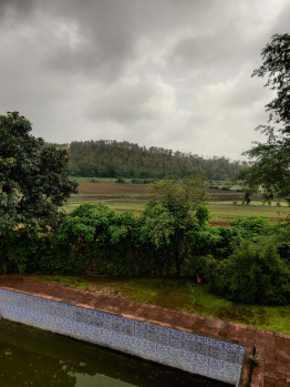 Agricultural/Farm Land for Sale in Dhariawad, Pratapgarh (150 Bigha)