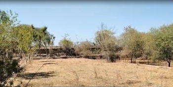 Agricultural/Farm Land for Sale in Nathdwara Road, Udaipur (65000 Sq.ft.)