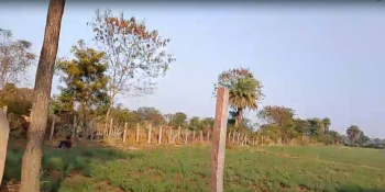Agricultural/Farm Land for Sale in Bhatewar, Udaipur (2.50 Bigha)