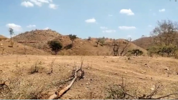 Agricultural/Farm Land for Sale in Kurabad, Udaipur (5.08 Bigha)